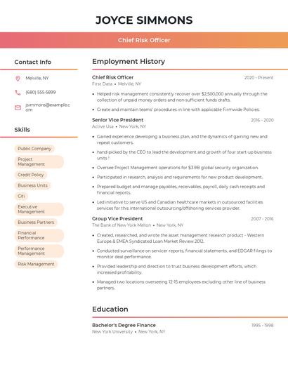 Chief Risk Officer Resume