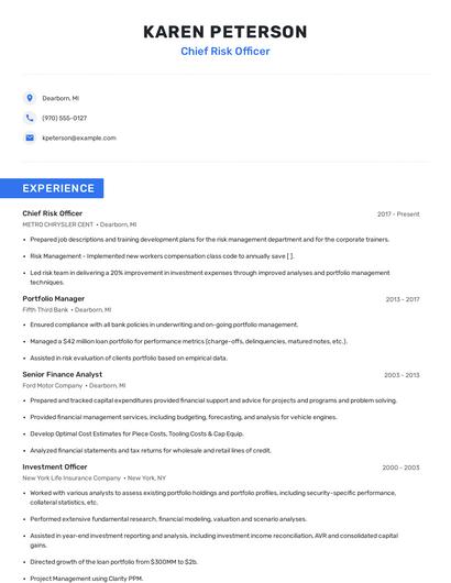 Chief Risk Officer Resume