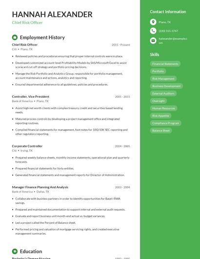 Chief Risk Officer Resume
