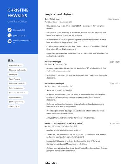 Chief Risk Officer Resume