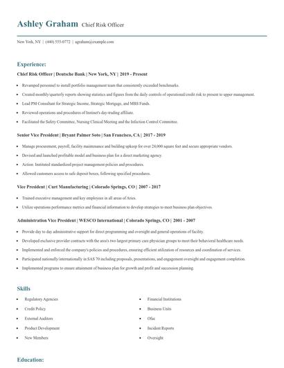 Chief Risk Officer Resume