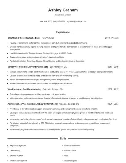 Chief Risk Officer Resume