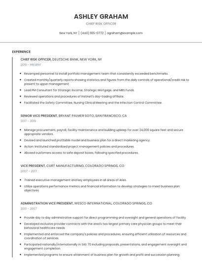 Chief Risk Officer Resume