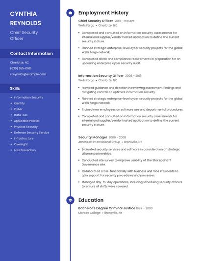 Chief Security Officer Resume