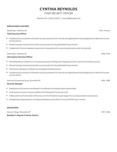 Chief Security Officer Resume