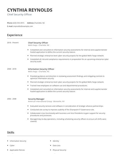 Chief Security Officer Resume