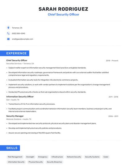 Chief Security Officer Resume