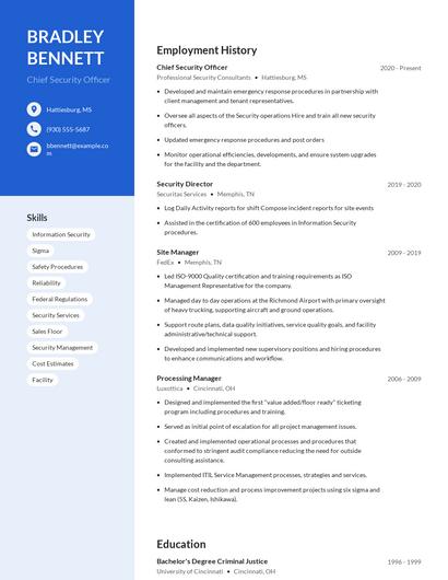Chief Security Officer Resume