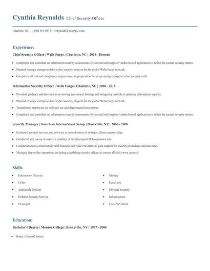 Chief Security Officer Resume