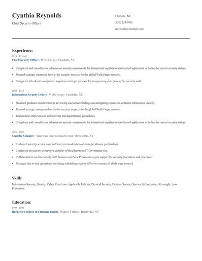 Chief Security Officer Resume