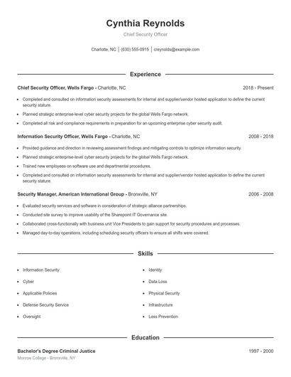 Chief Security Officer Resume