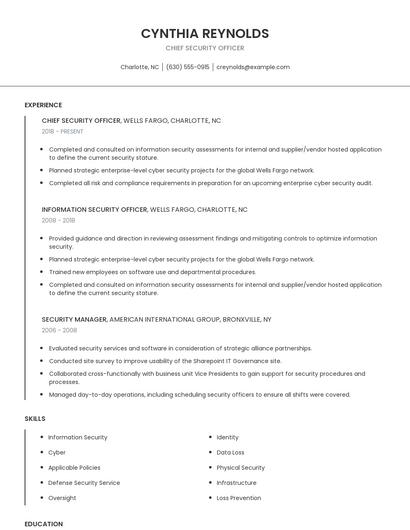 Chief Security Officer Resume
