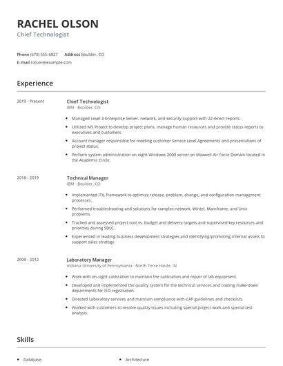 Chief Technologist Resume