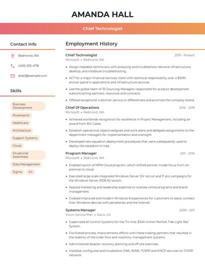 Chief Technologist Resume