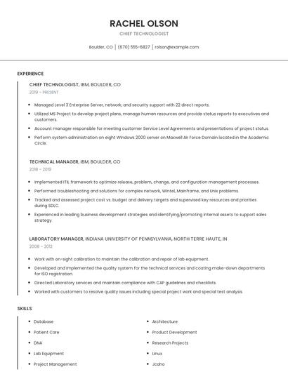 Chief Technologist Resume