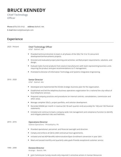 Chief Technology Officer Resume