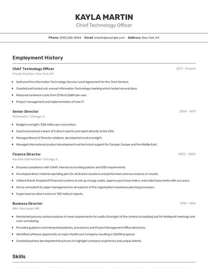 Chief Technology Officer Resume