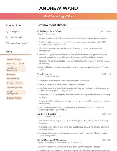 Chief Technology Officer Resume