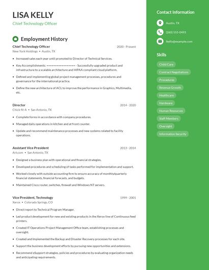 Chief Technology Officer Resume