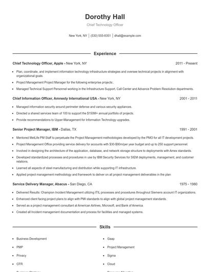 Chief Technology Officer Resume