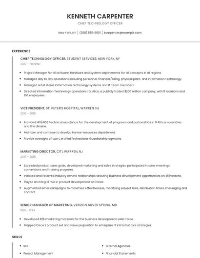 Chief Technology Officer Resume