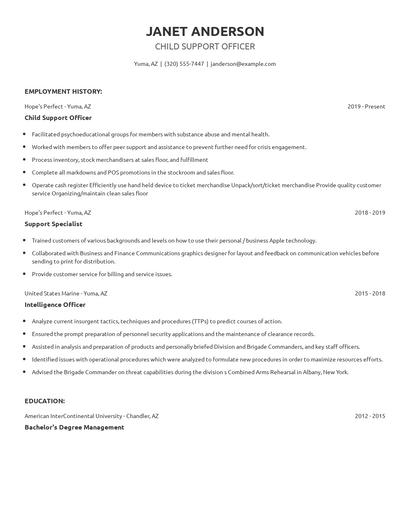 Child Support Officer Resume