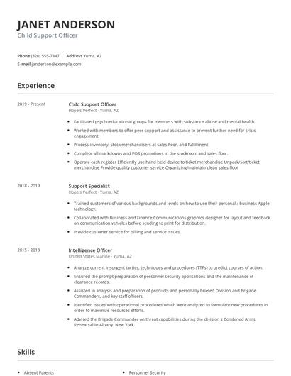 Child Support Officer Resume