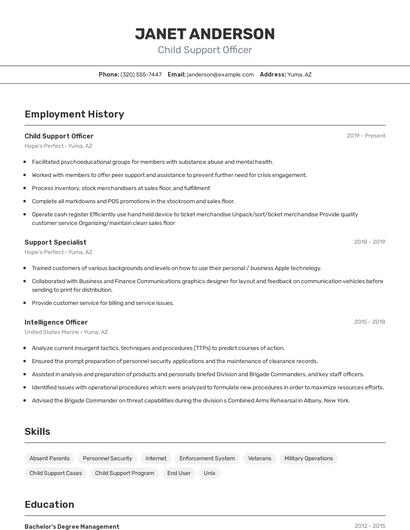Child Support Officer Resume