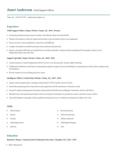 Child Support Officer Resume