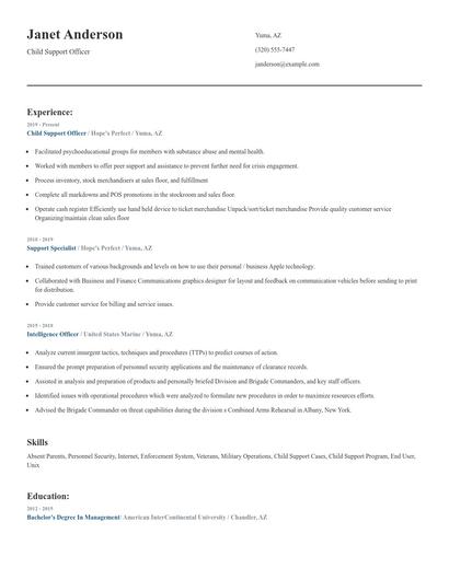 Child Support Officer Resume
