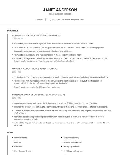 Child Support Officer Resume