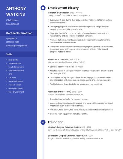 Resume example 5