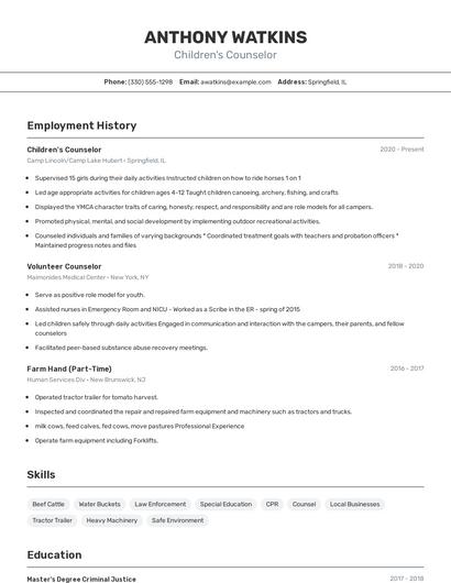 Resume example 2