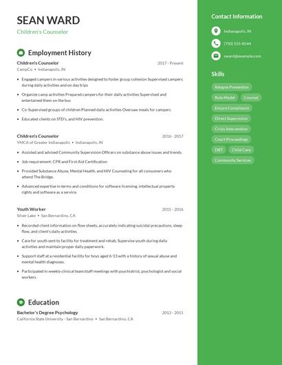 Resume example 4