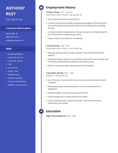 City Bus Driver Resume