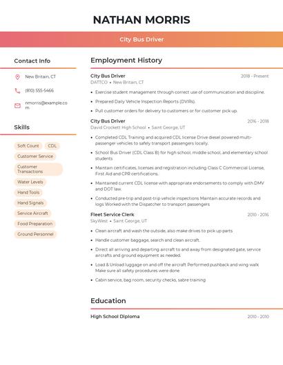 City Bus Driver Resume