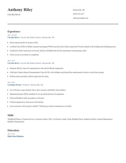 City Bus Driver Resume