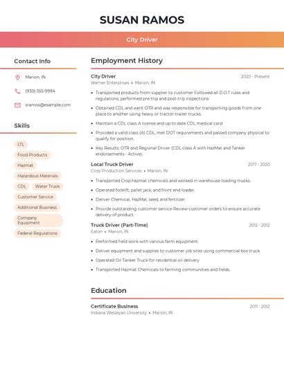City Driver Resume