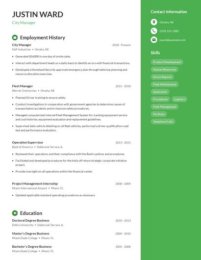 Resume example 4