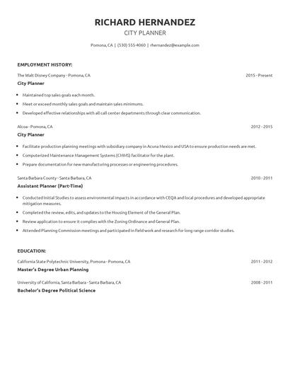 City Planner Resume