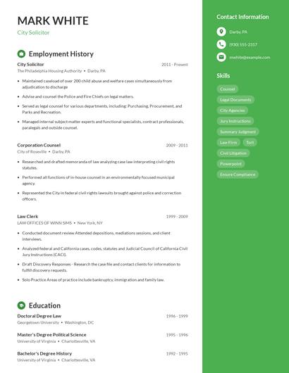 City Solicitor Resume