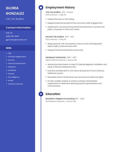 City Tax Auditor Resume