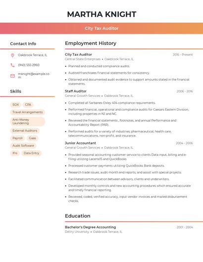 City Tax Auditor Resume