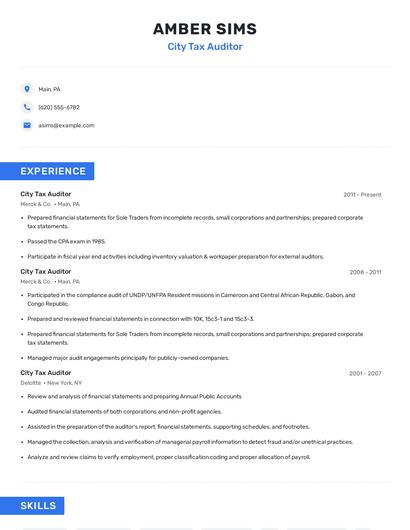 City Tax Auditor Resume
