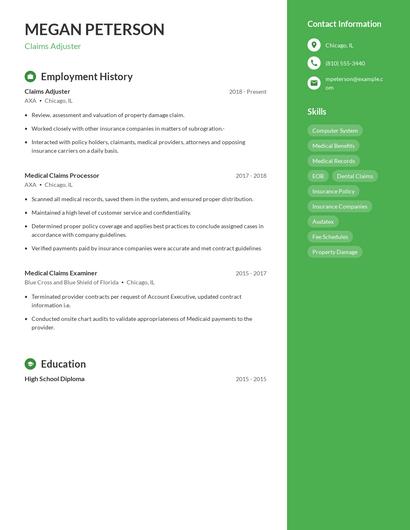Resume example 4