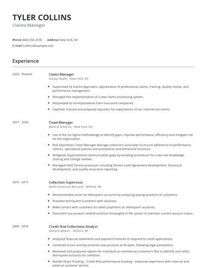 Claims Manager Resume