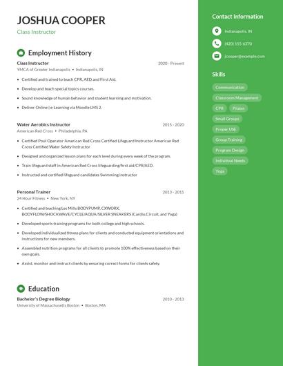 Resume example 5