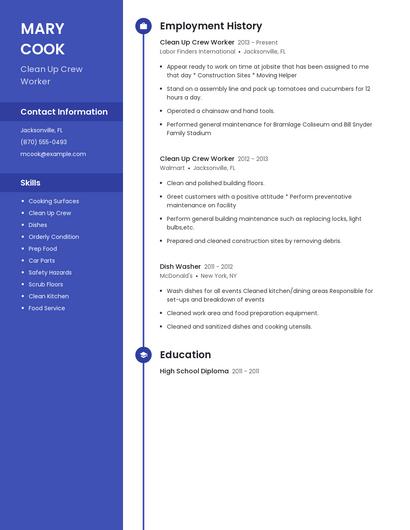 Resume example 5