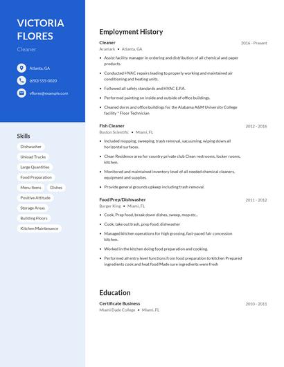 Cleaner Resume