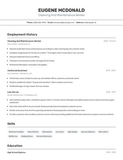 Resume example 2